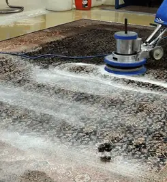 Professional rug cleaning with a rotary floor machine and shampoo foam, deep-cleaning an area rug Fort Wayne, IN.
